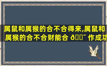 属鼠和属猴的合不合得来,属鼠和属猴的合不合财能合 🐯 作成功吗